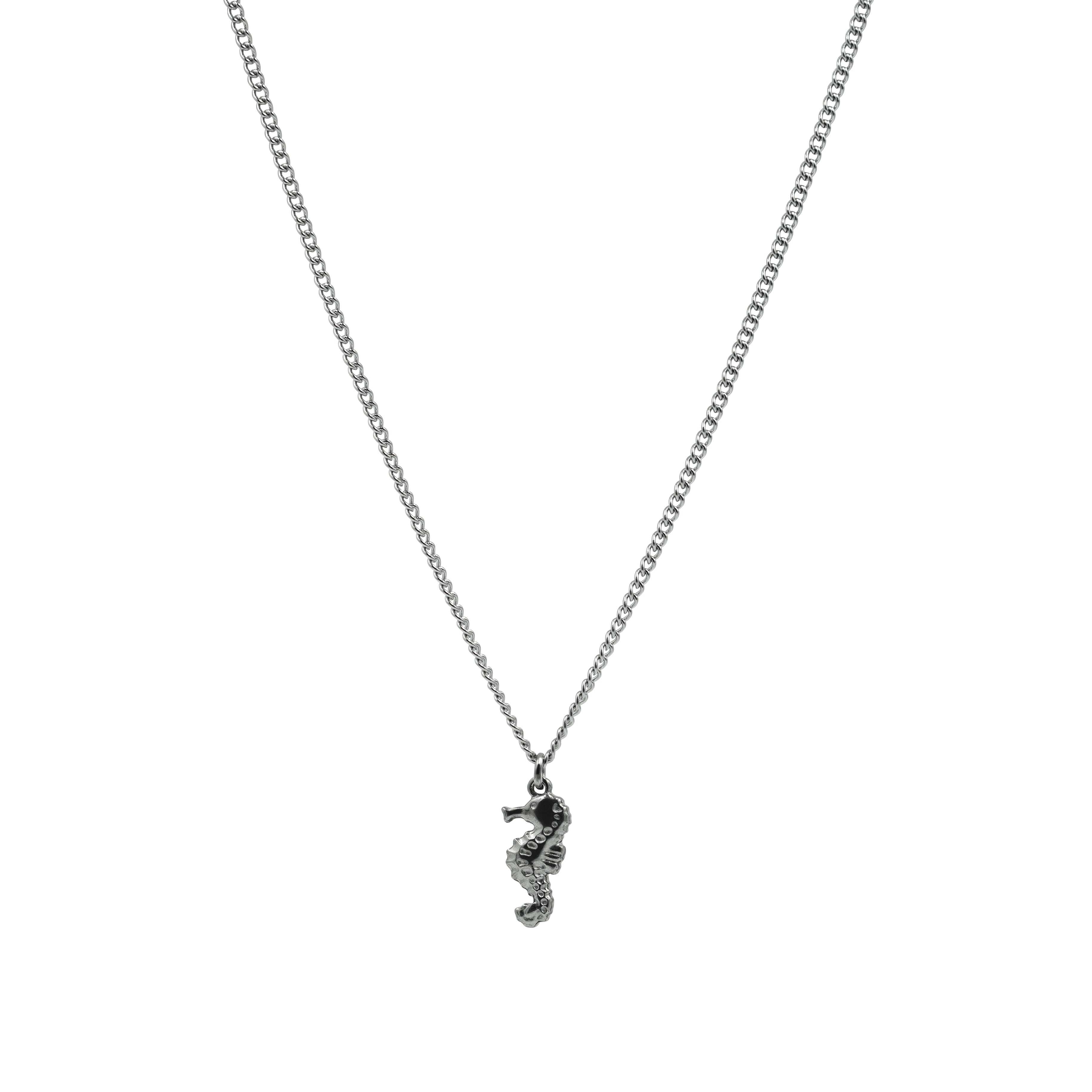 Seahorse Talisman, Necklace